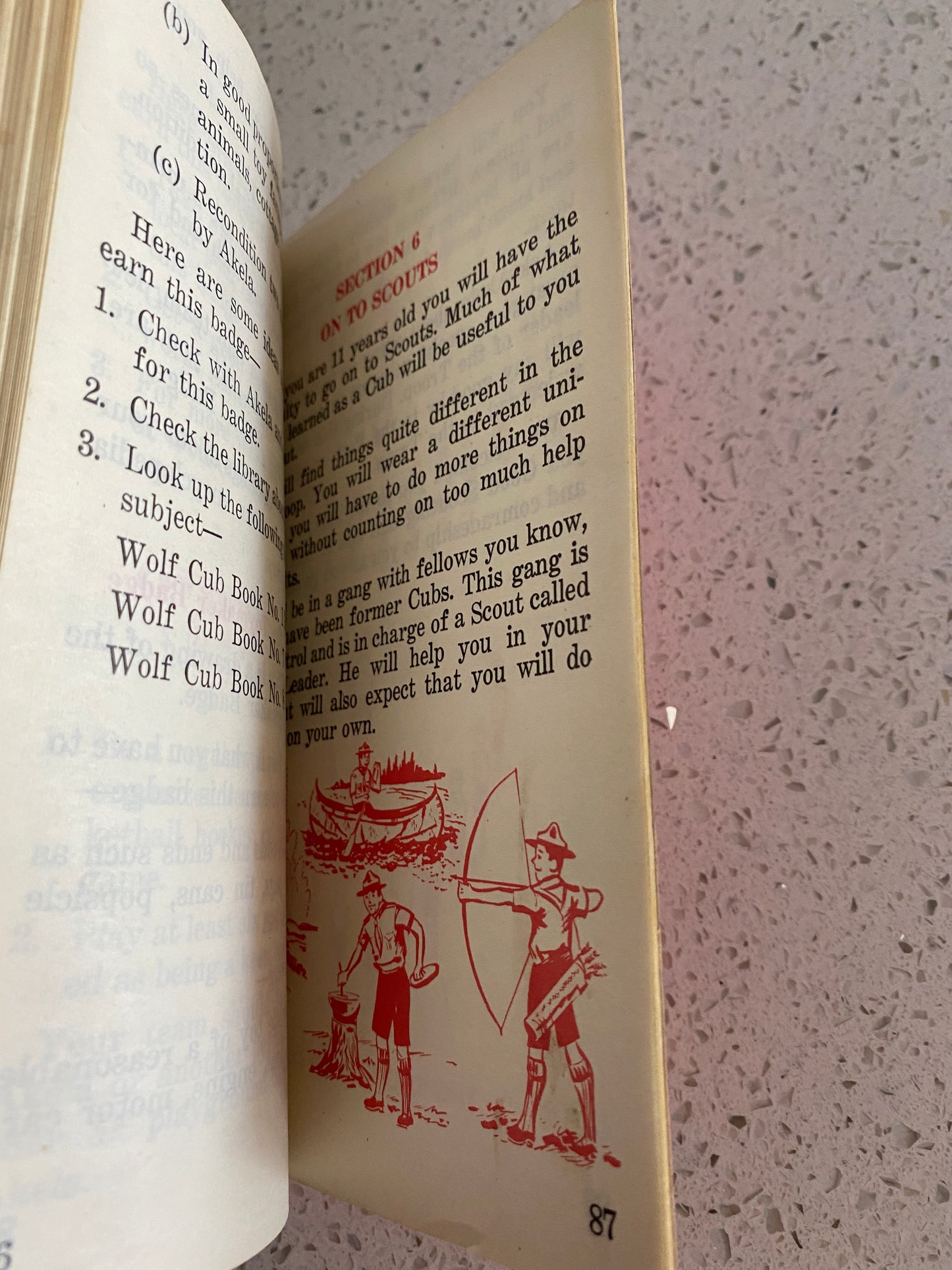 1963 Wolf Cub's Book